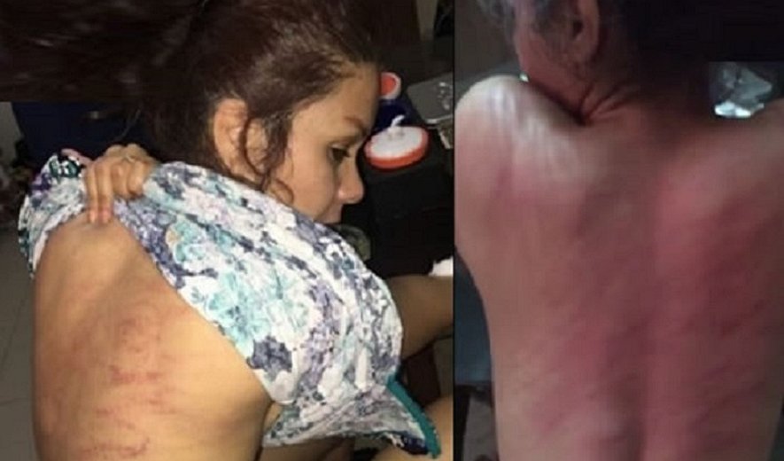 لیلا بیات به نروژ بازگشت