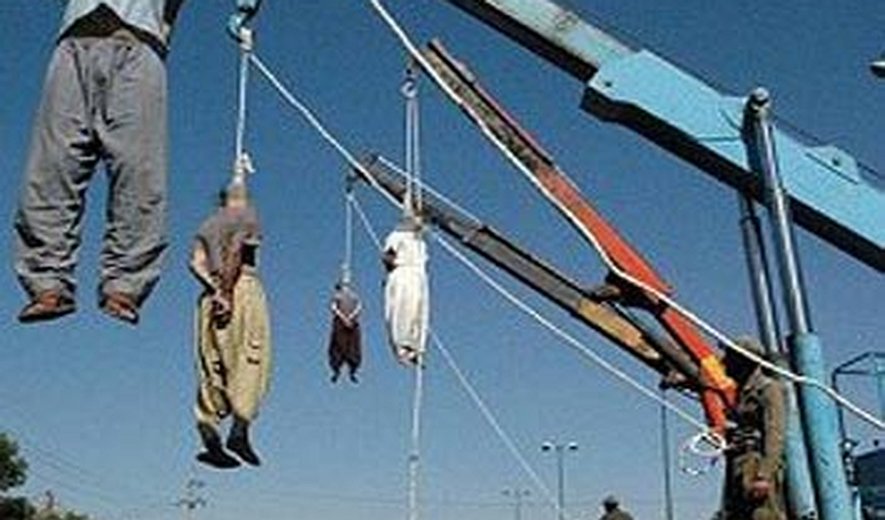 Group Hanging of 24 in Karaj