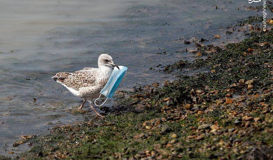 اعدام بس است  - ویژه برنامه محیط زیست و حقوق بشر