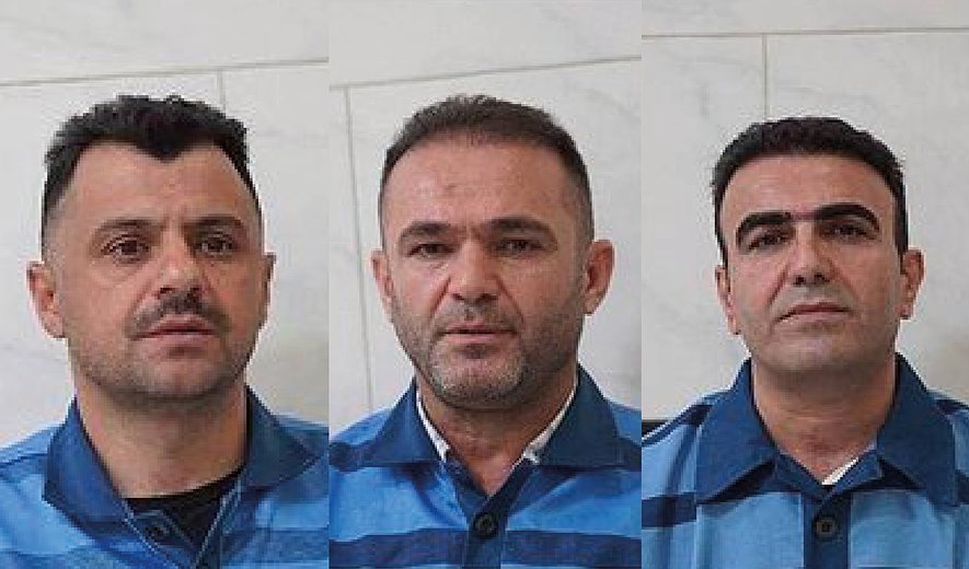 3 Kurdish Men Hanged for Israel Collaboration; Ahmadreza Djalali at Imminent Risk of Execution
