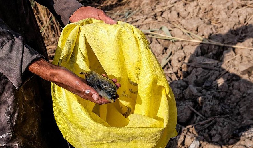 اعدام بس است - برنامه ۱۳۸