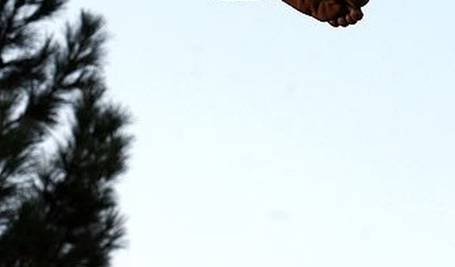 One man was hanged in public in southern Iran 