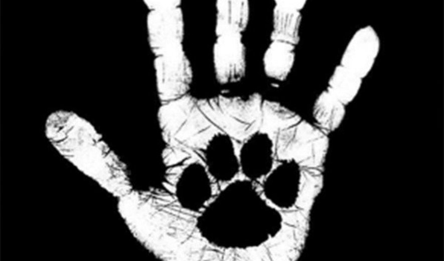 انجمن پارسا: حمایت از حیوانات، دفاع از انسانیت است