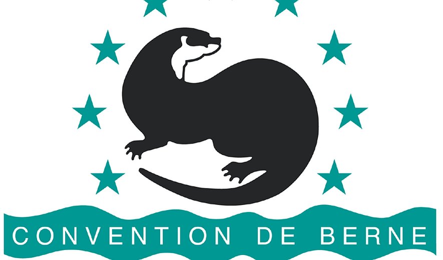 کنوانسیون برن، پیوستن یا نپیوستن؟ 