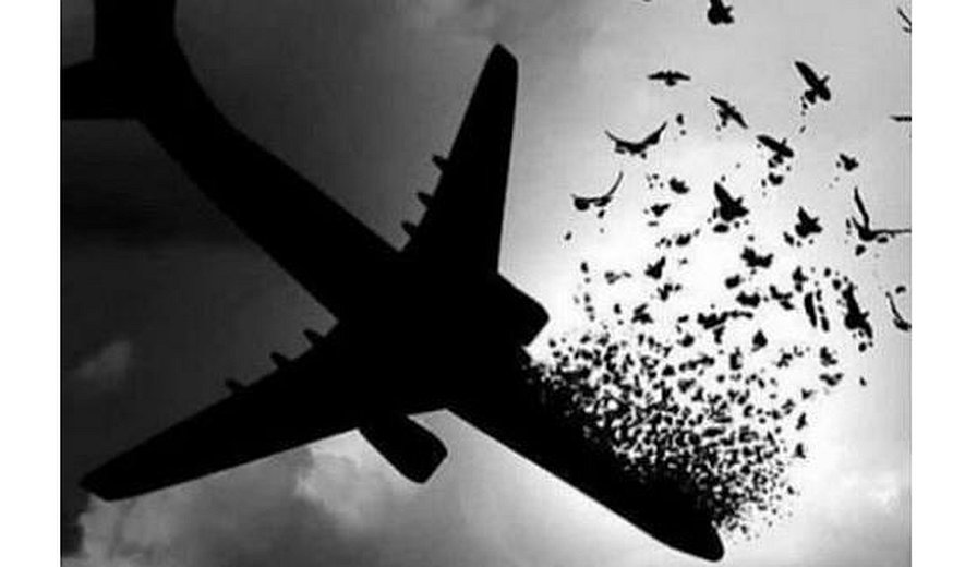 پرواز ۷۵۲؛ مساله‌ای به نام غرامت