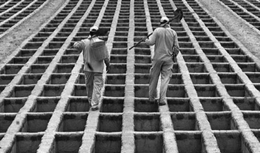 بیشتر بخوانید