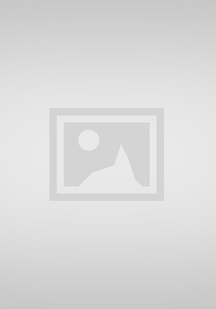 2008 Annual Report:  At Least 350 Executions in 2008 in Iran